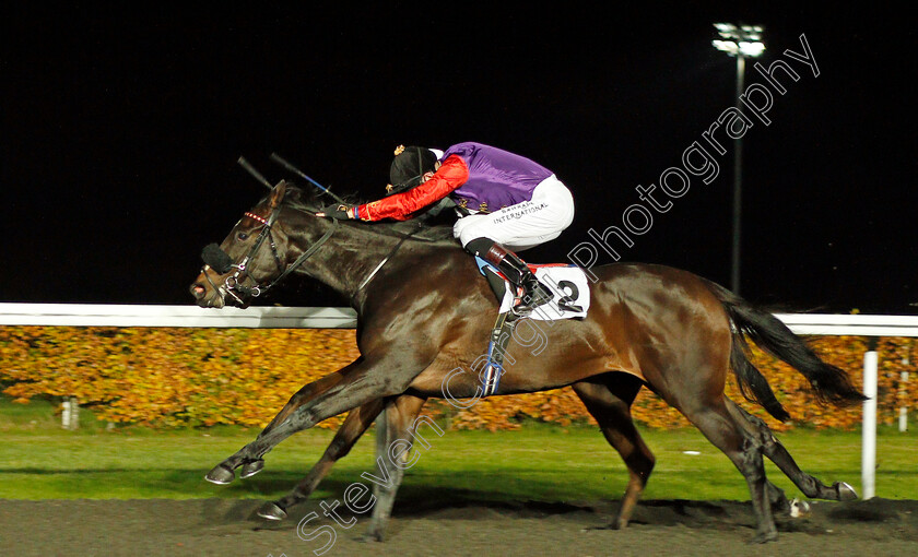 Desert-Flyer-0003 
 DESERT FLYER (Robert Havlin) wins The Unibet Casino Deposit £10 Get £40 Bonus Novice Stakes
Kempton 11 Nov 2020 - Pic Steven Cargill / Racingfotos.com