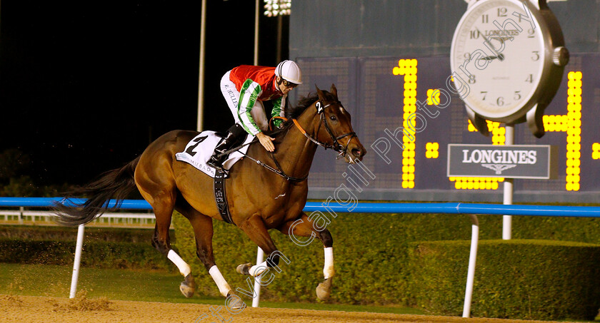 North-America-0004 
 NORTH AMERICA (Richard Mullen) wins The Al Maktoum Challenge (Round 1)
Meydan 10 Jan 2019 - Pic Steven Cargill / Racingfotos.com