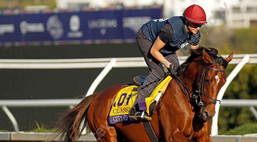 City-Of-Troy-0007 
 CITY OF TROY (Rachel Richardson) training for the Breeders' Cup Classic
Del Mar USA 31 Oct 2024 - Pic Steven Cargill / Racingfotos.com