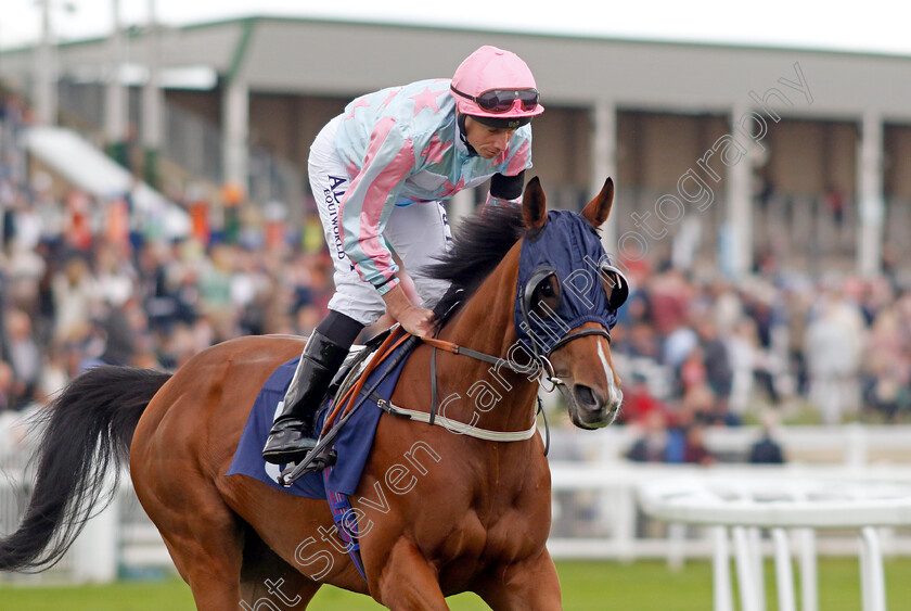 Bellstreet-Bridie-0004 
 BELLSTREET BRIDIE (Ryan Moore) winner of The British EBF Premier Fillies Handicap
Yarmouth 15 Sep 2022 - Pic Steven Cargill / Racingfotos.com