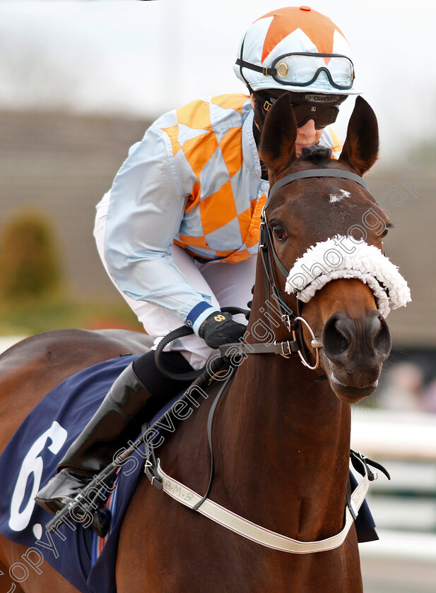 Spirit-Of-Nicobar-0001 
 SPIRIT OF NICOBAR (Hayley Turner)
Southwell 29 Apr 2019 - Pic Steven Cargill / Racingfotos.com