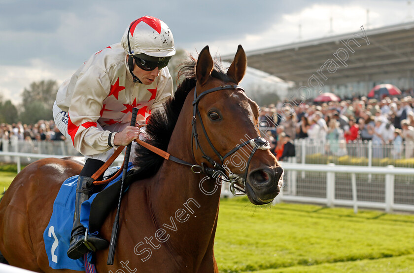 Silastar-0001 
 SILASTAR (Ryan Moore) wins The Coors Handicap
Leicester 29 Apr 2023 - Pic Steven Cargill / Racingfotos.com