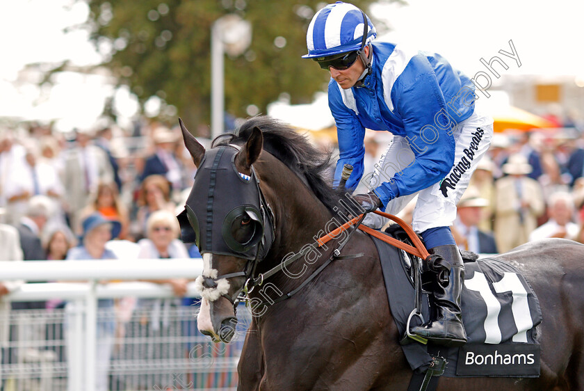 Turjomaan-0002 
 TURJOMAAN (Jim Crowley)
Goodwood 2 Aug 2019 - Pic Steven Cargill / Racingfotos.com