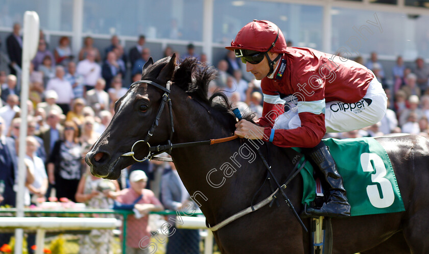 Prince-Elzaam-0006 
 PRINCE ELZAAM (Daniel Tudhope) wins The Racing Welfare Racing Staff Week Novice Auction Stakes
Thirsk 4 Jul 2018 - Pic Steven Cargill / Racingfotos.com