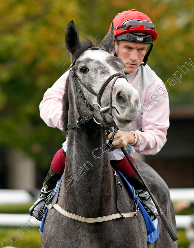 Aughnagomaun-0001 
 AUGHNAGOMAUN (Finley Marsh)
Kempton 2 Oct 2024 - pic Steven Cargill / Racingfotos.com