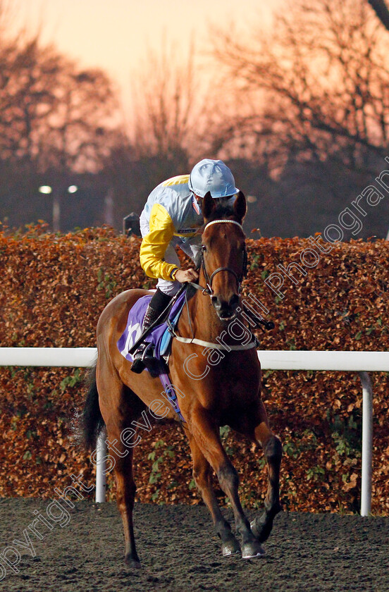 Saffron-Lane-0001 
 SAFFRON LANE (George Wood)
Kempton 4 Dec 2019 - Pic Steven Cargill / Racingfotos.com