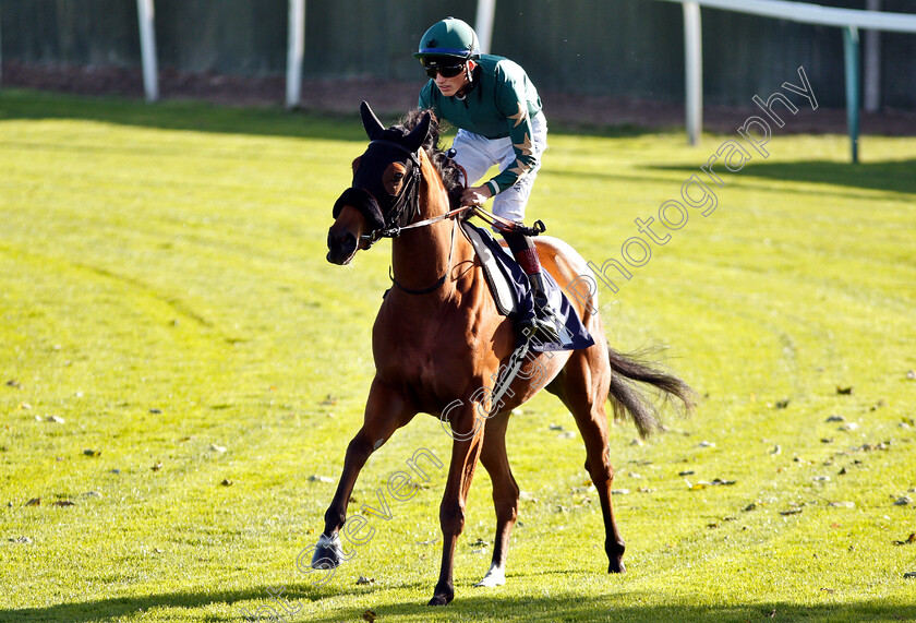 Aadya-0001 
 AADYA (George Wood)
Yarmouth 23 Oct 2018 - Pic Steven Cargill / Racingfotos.com