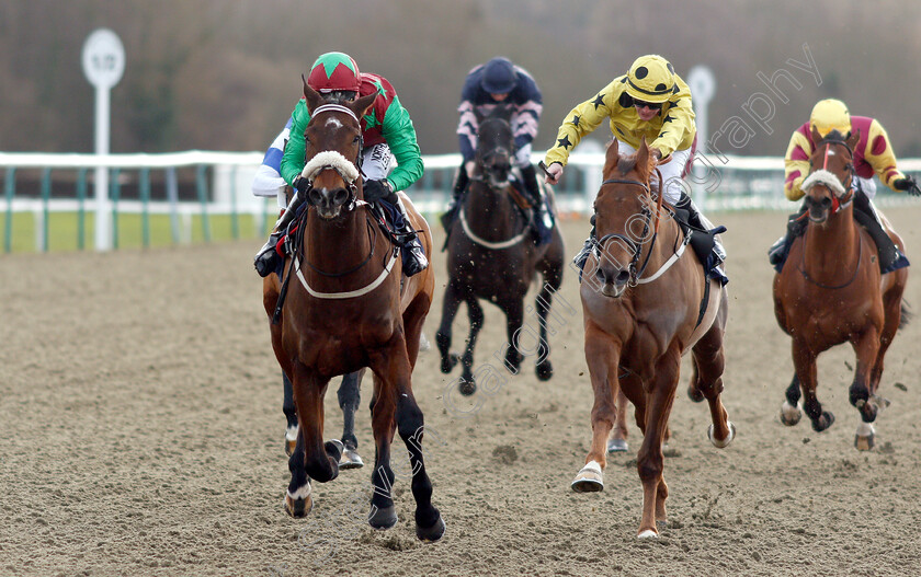 Shyron-0004 
 SHYRON (Robert Winston) wins The Sun Racing Handicap
Lingfield 18 Jan 2019 - Pic Steven Cargill / Racingfotos.com