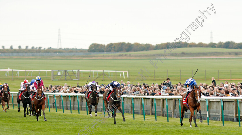 Withhold-0001 
 WITHHOLD (Silvestre De Sousa) wins The Betfred Cesarewitch Handicap Newmarket 14 Oct 2017 - Pic Steven Cargill / Racingfotos.com