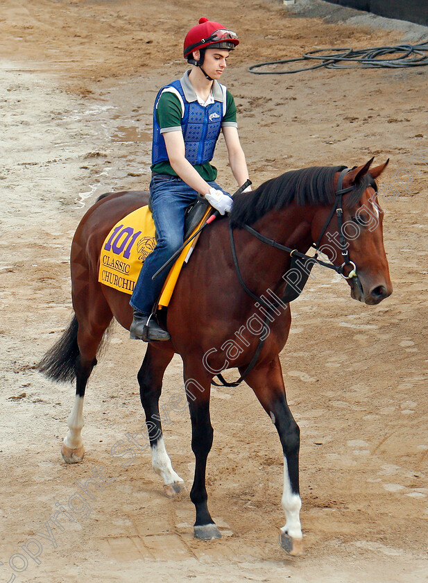 Churchill-0002 
 CHURCHILL training for The Breeders' Cup Classic at Del Mar 2 Nov 2017 - Pic Steven Cargill / Racingfotos.com