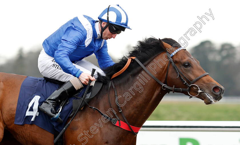 Mohtarrif-0008 
 MOHTARRIF (Martin Dwyer) wins The Ladbrokes Home Of The Odds Boost Novice Stakes
Lingfield 23 Mar 2019 - Pic Steven Cargill / Racingfotos.com