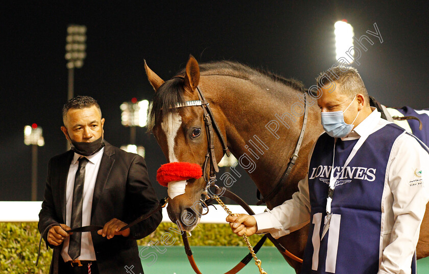 Hot-Rod-Charlie-0001 
 HOT ROD CHARLIE winner of The Al Maktoum Challenge (Round 2)
Meydan, 4 Feb 2022 - Pic Steven Cargill / Racingfotos.com