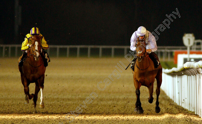 Berlusca-0003 
 BERLUSCA (right, Mark Crehan) beats RUBENSIAN (left) in The Betway Apprentice Handicap
Wolverhampton 10 Dec 2018 - Pic Steven Cargill / Racingfotos.com