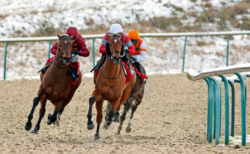 Twilight-Heir-0002 
 TWILIGHT HEIR (left, Cieren Fallon) beats CHARLIE FELLOWES (right) in The Get Your Ladbrokes Daily Odds Boost Handicap
Lingfield 13 Feb 2021 - Pic Steven Cargill / Racingfotos.com