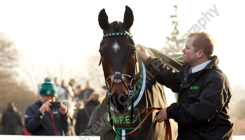 Altior-0013 
 ALTIOR after The Unibet Desert Orchid Chase
Kempton 27 Dec 2018 - Pic Steven Cargill / Racingfotos.com