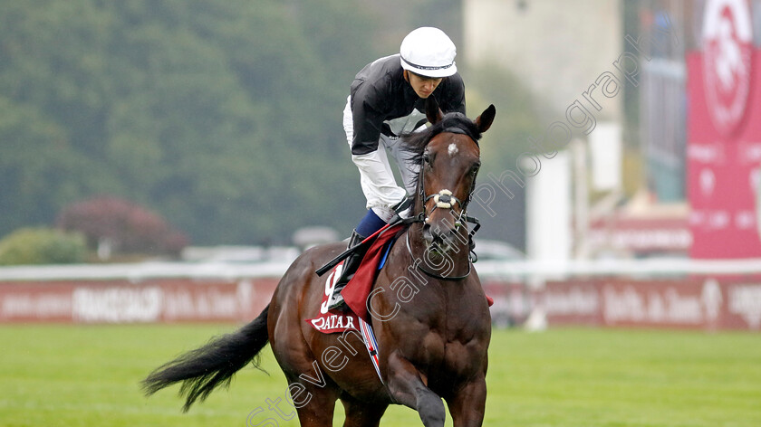 Cowardofthecounty-0002 
 COWARDOFTHECOUNTY (Dylan Browne McMonagle)
Longchamp 6 Oct 2024 - Pic Steven Cargill / Racingfotos.com