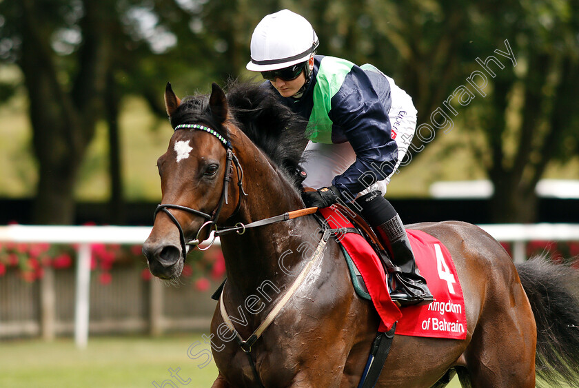 Nate-The-Great-0001 
 NATE THE GREAT (Hollie Doyle)
Newmarket 11 Jul 2019 - Pic Steven Cargill / Racingfotos.com