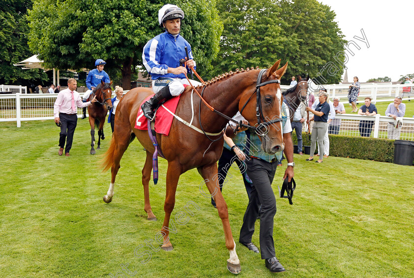 Dance-In-The-Grass-0013 
 DANCE IN THE GRASS (Silvestre de Sousa) winner of The European Bloodstock News EBF Star Stakes
Sandown 21 Jul 2022 - Pic Steven Cargill / Racingfotos.com