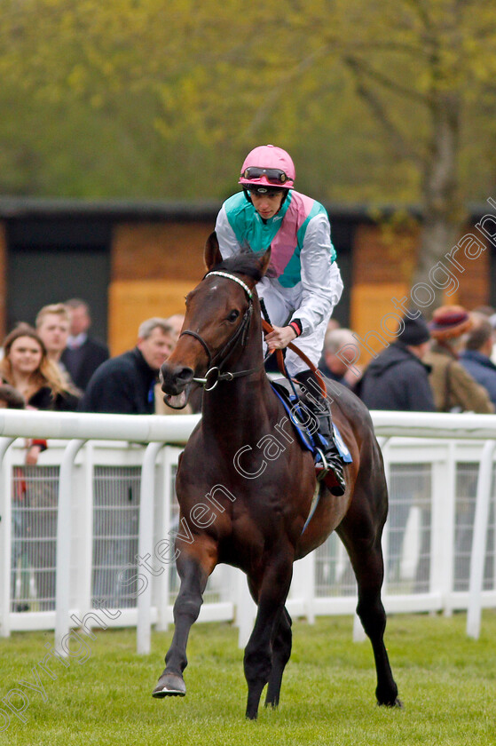 Construct-0001 
 CONSTRUCT (Louis Steward) Salisbury 29 Apr 2018 - Pic Steven Cargill / Racingfotos.com