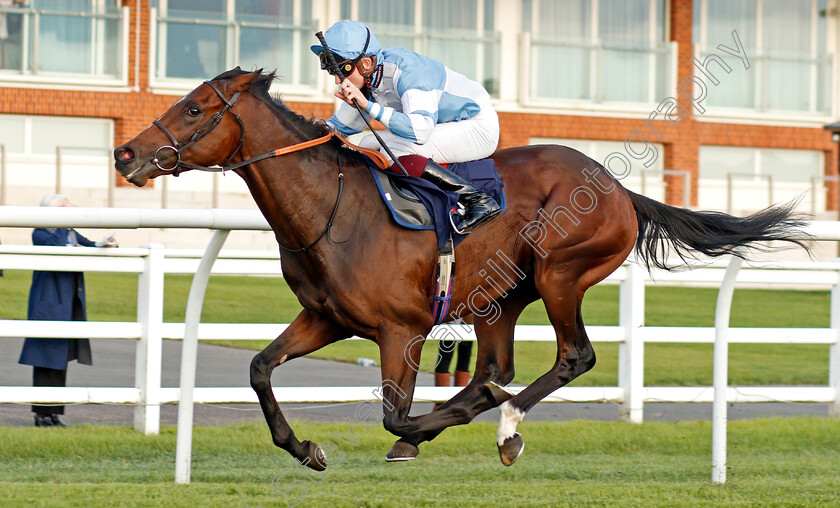 Patient-Dream-0005 
 PATIENT DREAM (Rob Hornby) wins The Betway British Stallion Studs EBF Novice Median Auction Stakes Div2
Lingfield 26 Aug 2020 - Pic Steven Cargill / Racingfotos.com