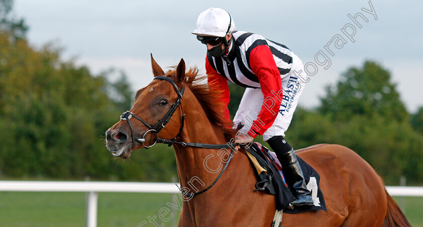 Harry s-Bar-0001 
 HARRY'S BAR (Jack Mitchell) winner of The Chelmsford City Cup Handicap
Chelmsford 22 Aug 2020 - Pic Steven Cargill / Racingfotos.com