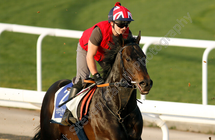 Annaf-0001 
 ANNAF training for The 1351 Turf Sprint
King Abdulaziz Racecourse, Saudi Arabia 20 Feb 2024 - Pic Steven Cargill / Racingfotos.com