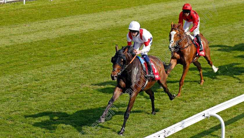 Deauville-Legend-0001 
 DEAUVILLE LEGEND (Daniel Muscutt)
Chester 9 May 2024 - Pic Steven Cargill / Racingfotos.com