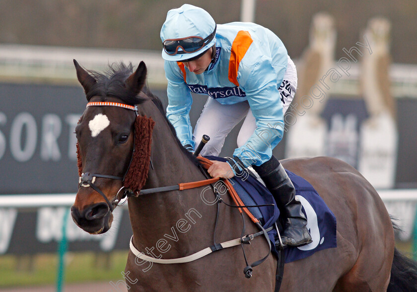 Lexington-Law-0002 
 LEXINGTON LAW (Tom Marquand) winner of The Betway Casino Handicap Lingfield 30 Dec 2017 - Pic Steven Cargill / Racingfotos.com