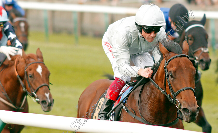 King-Leonidas-0006 
 KING LEONIDAS (Frankie Dettori) wins The Coates & Seely Blanc De Blancs Novice Stakes Div1
Newmarket 23 Oct 2019 - Pic Steven Cargill / Racingfotos.com