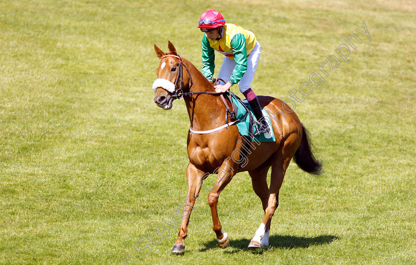 Pipers-Note-0001 
 PIPERS NOTE (James Sullivan)
Thirsk 4 Jul 2018 - Pic Steven Cargill / Racingfotos.com