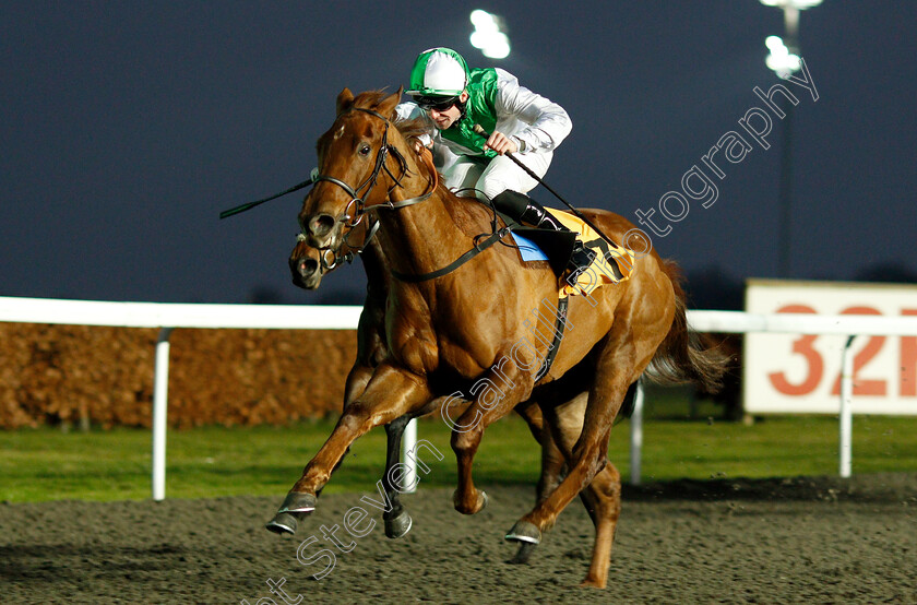 Invitational-0002 
 INVITATIONAL (Jack Mitchell) wins The 32Red Casino Fillies Novice Stakes
Kempton 5 Jan 2019 - Pic Steven Cargill / Racingfotos.com