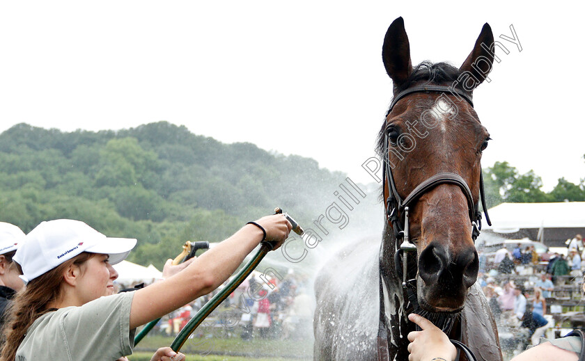 Scorpiancer-0012 
 SCORPIANCER after The Calvin Houghland Iroquois G1
Percy Warner Park, Nashville Tennessee USA, 11 May 2019 - Pic Steven Cargill / Racingfotos.com