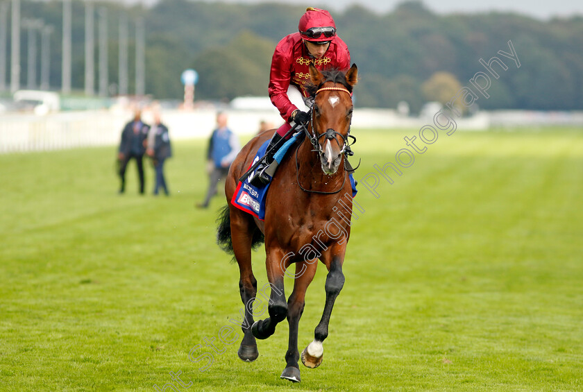 Middle-Earth-0002 
 MIDDLE EARTH (Oisin Murphy)
Doncaster 16 Sep 2023 - Pic Steven Cargill / Racingfotos.com