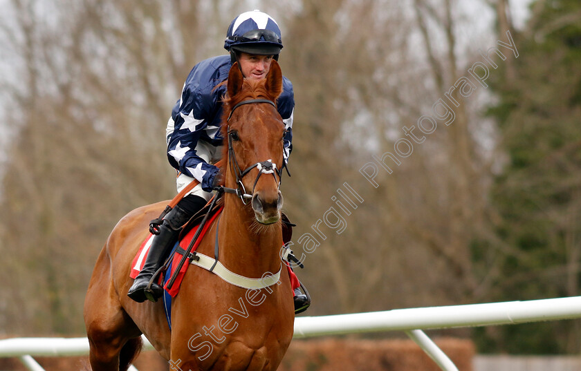 Gold-For-Alec-0001 
 GOLD FOR ALEC (Ben Poste)
Kempton 22 Feb 2025 - Pic Steven Cargill / Racingfotos.com