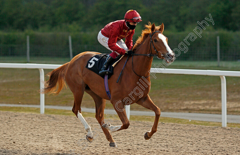 Eternal-Light-0001 
 ETERNAL LIGHT (Oisin Murphy)
Chelmsford 29 Apr 2021 - Pic Steven Cargill / Racingfotos.com