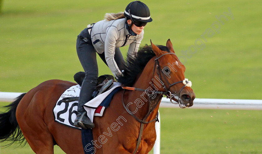 The-Caribbean-0001 
 THE CARIBBEAN training at the Dubai Racing Carnival
Meydan 1 Mar 2024 - Pic Steven Cargill / Racingfotos.com