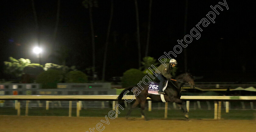 Tamara-0002 
 TAMARA training for The Breeders' Cup Juvenile Fillies
Santa Anita USA, 30 Oct 2023 - Pic Steven Cargill / Racingfotos.com