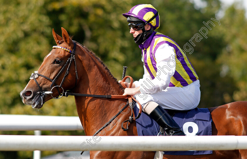 Boccherini-0001 
 BOCCHERINI (Martin Dwyer)
Lingfield 4 Aug 2020 - Pic Steven Cargill / Racingfotos.com