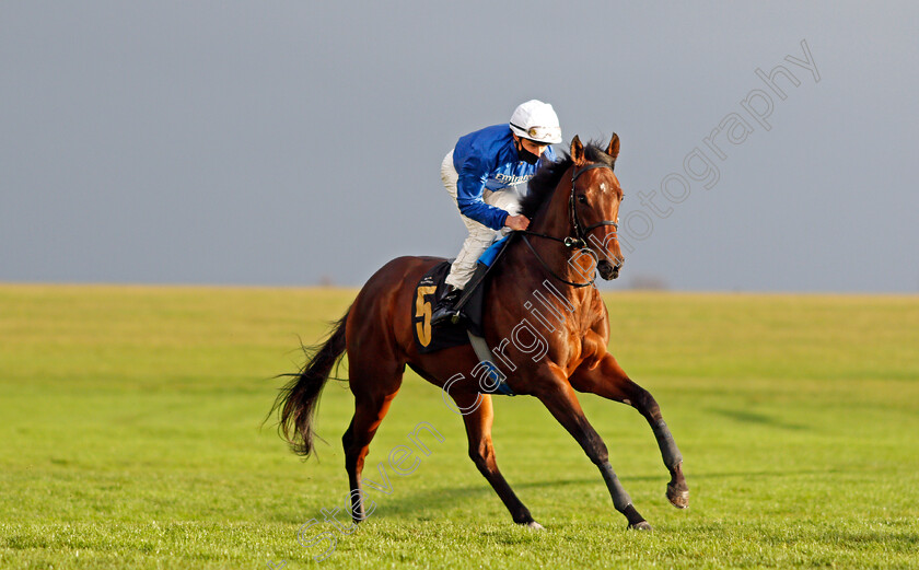 Zakouski-0002 
 ZAKOUSKI (William Buick) before winning The Bet In-Play At Mansionbet Ben Marshall Stakes
Newmarket 31 Oct 2020 - Pic Steven Cargill / Racingfotos.com