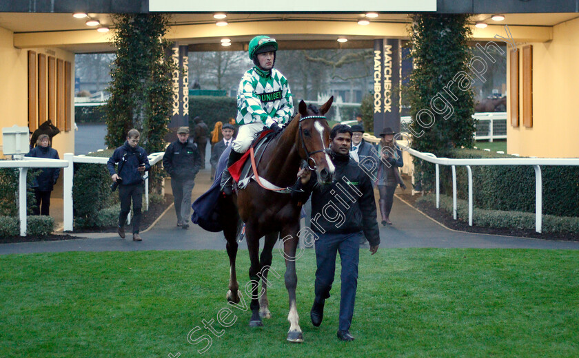 Downtown-Getaway-0003 
 DOWNTOWN GETAWAY (Nico De Boinville) after The Matchbook British EBF National Hunt Novices Hurdle
Ascot 19 Jan 2019 - Pic Steven Cargill / Racingfotos.com