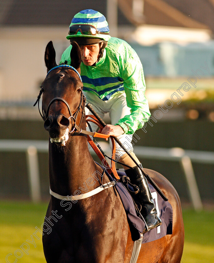 Jessinamillion-0002 
 JESSINAMILLION (Ted Durcan) Yarmouth 20 Sep 2017 - Pic Steven Cargill / Racingfotos.com