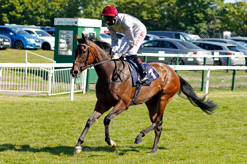 Qurtajana-0001 
 QURTAJANA (Robert Havlin)
Yarmouth 9 Jun 2021 - Pic Steven Cargill / Racingfotos.com