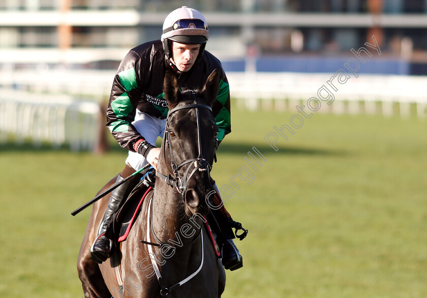 Strong-Glance-0002 
 STRONG GLANCE (Alain Cawley) 
Newbury 30 Nov 2018 - Pic Steven Cargill / Racingfotos.com