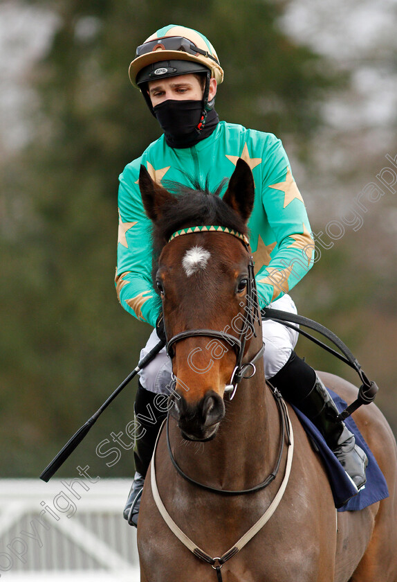 Fairy-Cakes-0001 
 FAIRY CAKES (Charles Bishop)
Lingfield 9 Jan 2021 - Pic Steven Cargill / Racingfotos.com