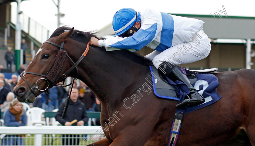 Ideal-Guest-0001 
 IDEAL GUEST (Mikkel Mortensen) wins The Regular Offers On Bresbet.com Handicap
Yarmouth 16 Oct 2023 - Pic Steven Cargill / Racingfotos.com