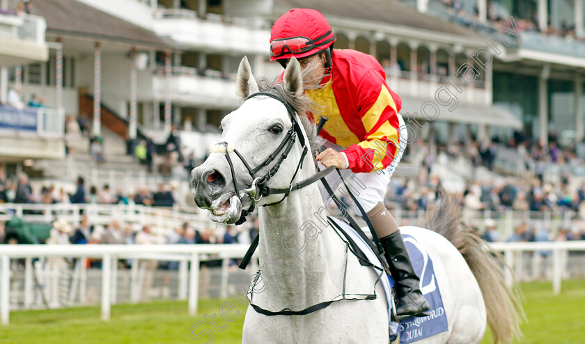 White-Birch-0003 
 WHITE BIRCH (Shane Foley)
York 18 May 2023 - Pic Steven Cargill / Racingfotos.com