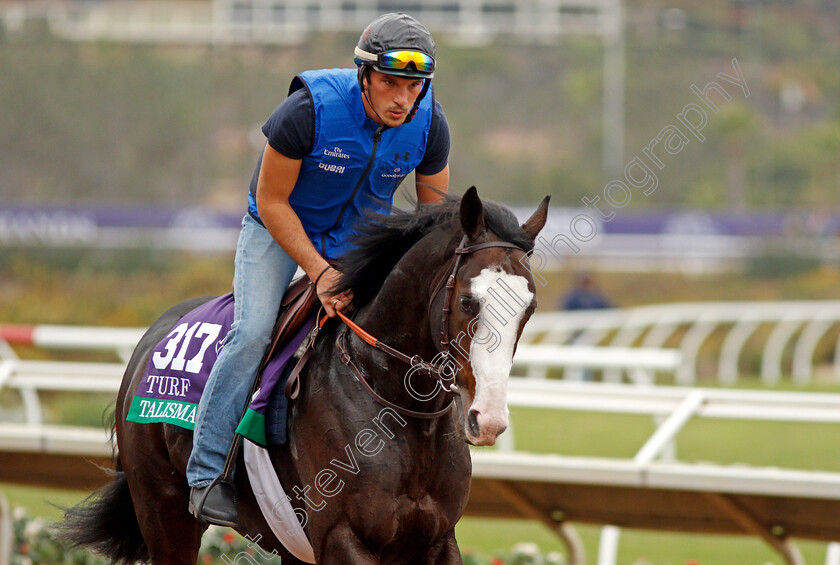 Talismanic-0002 
 TALISMANIC exercising at Del Mar USA in preparation for The Breeders' Cup Turf 30 Oct 2017 - Pic Steven Cargill / Racingfotos.com