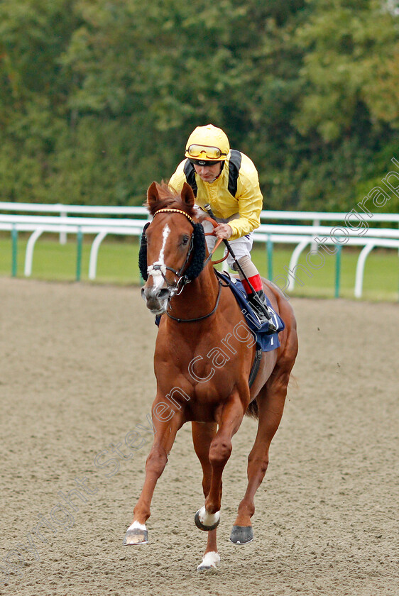 Qaaddim-0001 
 QAADDIM (Andrea Atzeni) winner of The Shard Solutions And Origin Nursery
Lingfield 3 Oct 2019 - Pic Steven Cargill / Racingfotos.com