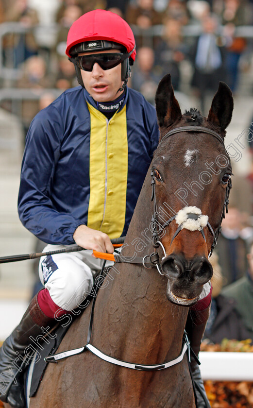 Dancing-On-My-Own-0001 
 DANCING ON MY OWN (Aidan Coleman)
Cheltenham 16 Nov 2019 - Pic Steven Cargill / Racingfotos.com