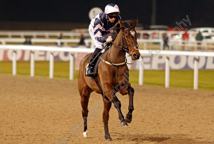 Seek-The-Moon-0001 
 SEEK THE MOON (Phillip Makin) Chelmsford 1 Dec 2017 - Pic Steven Cargill / Racingfotos.com